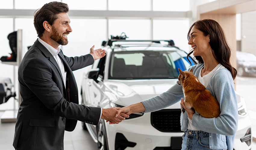 Documents required for car rental services